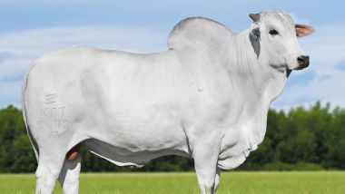 5472 FIV DA KATISPERA