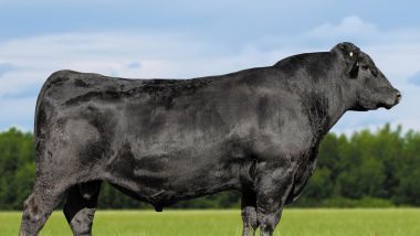 191 OF 8124 WEST POINT