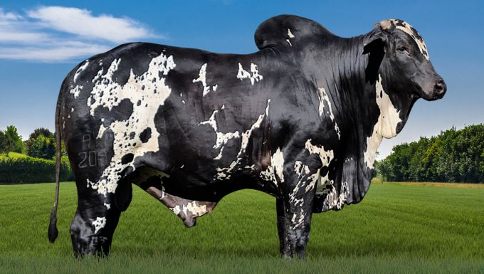 Foto EGÍPCIO AYMORÉ