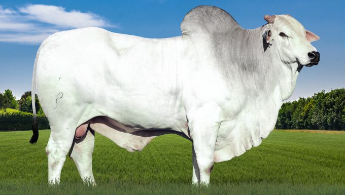 Foto 1776 DA PEDRINHA