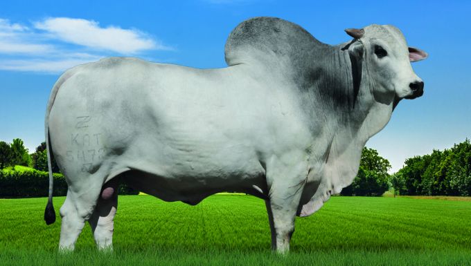 Foto 5472 FIV DA KATISPERA