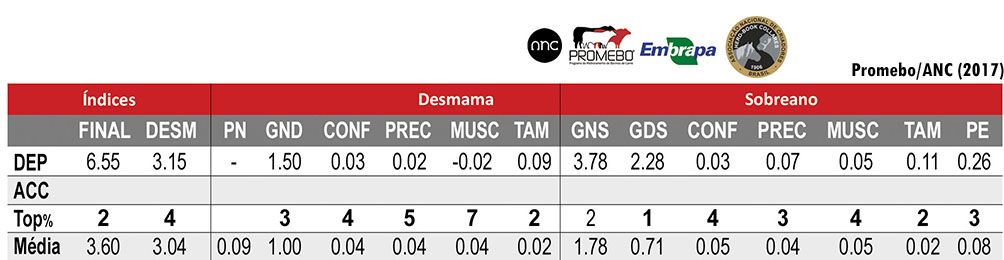 Avaliação JMT 007