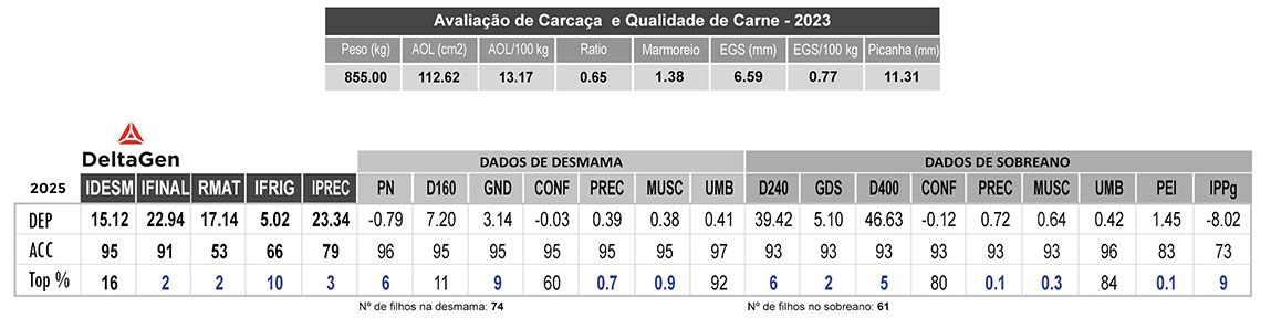 Avaliação GRECO RF