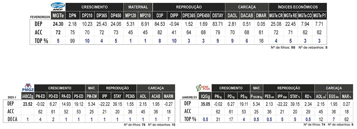 Avaliação BURITI DA MDLO