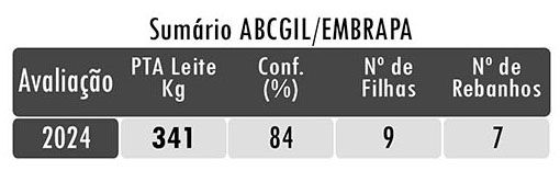 Avaliação DEKO FIV
