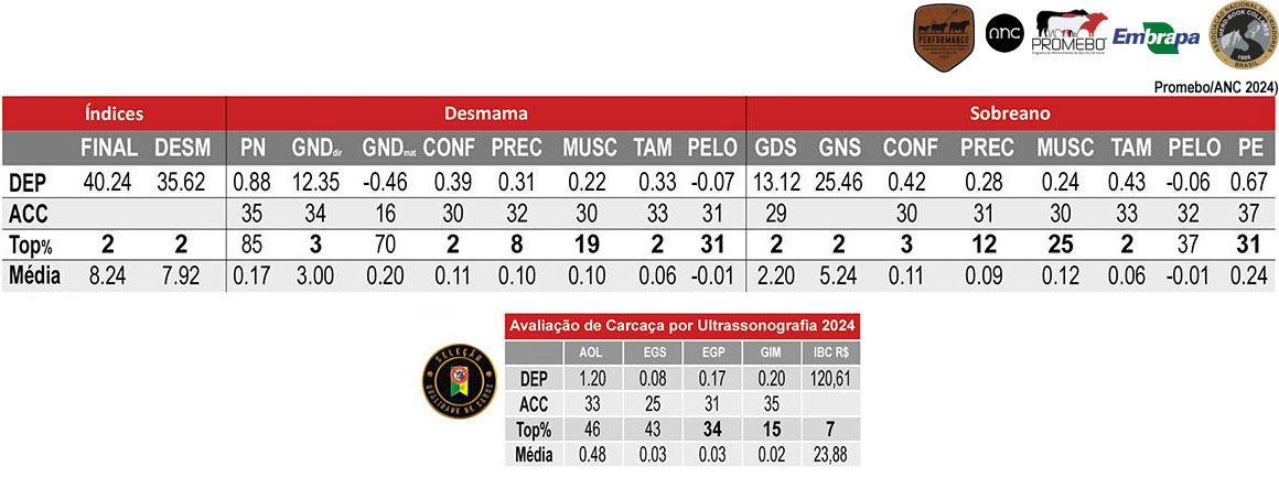Avaliação AMARONE