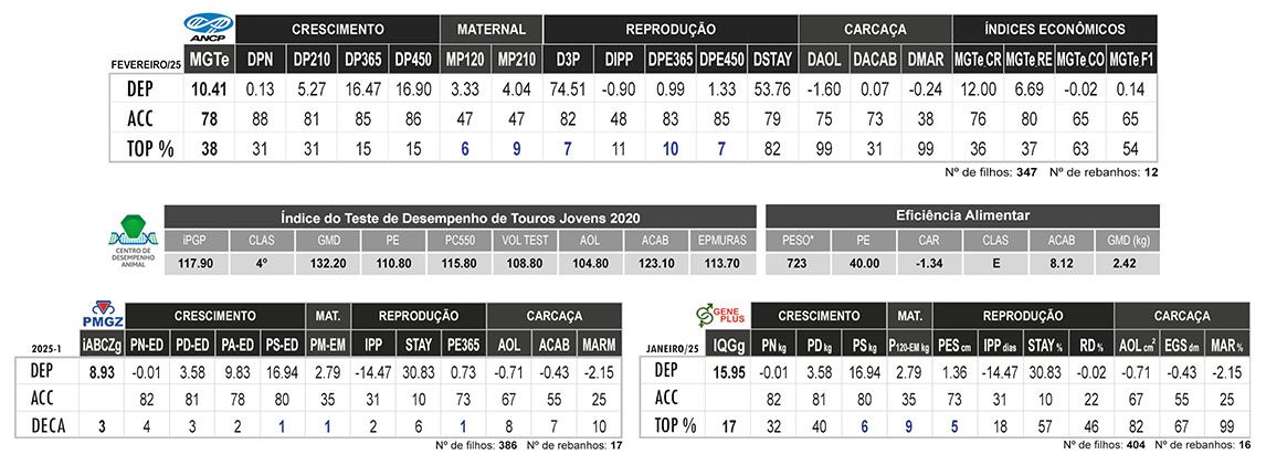 Avaliação PATRIOTA OB