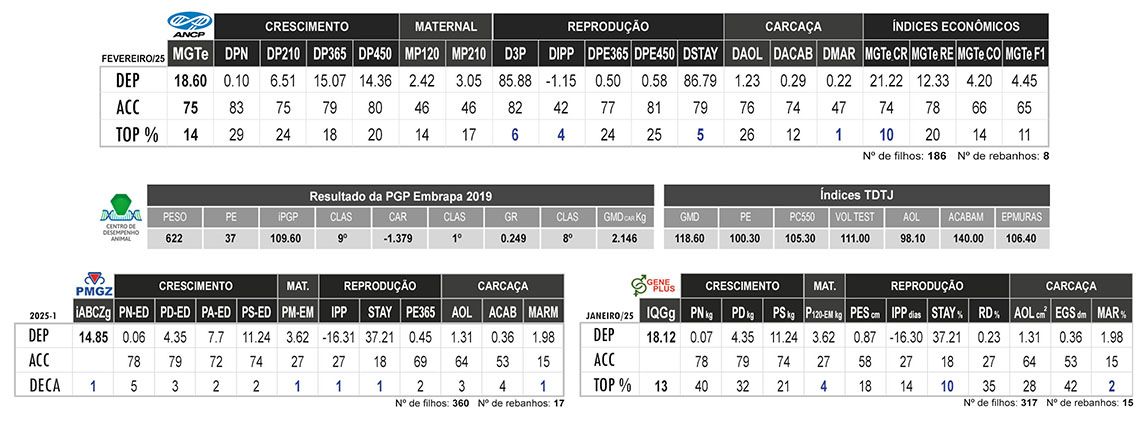 Avaliação AUDACIOSO FIV OB