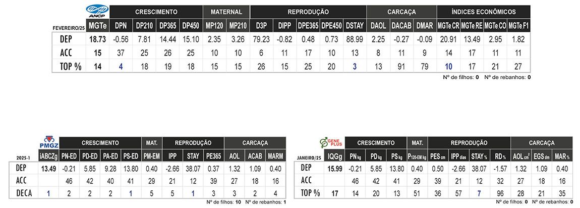 Avaliação LAMPIÃO DA MN