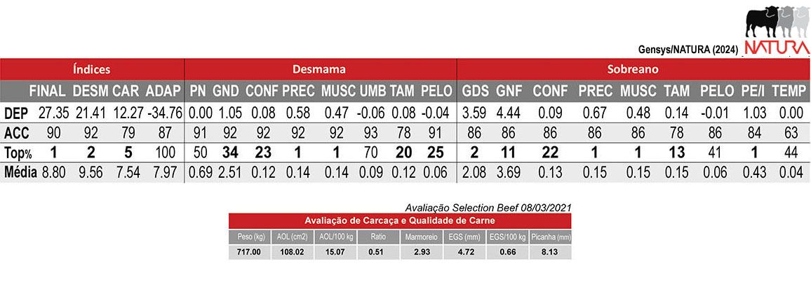 Avaliação QUARK