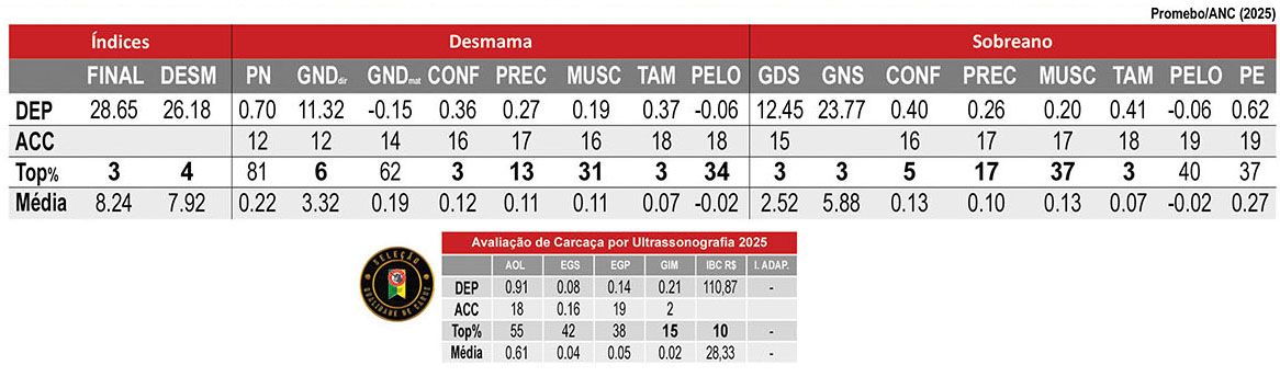 Avaliação AMARONE