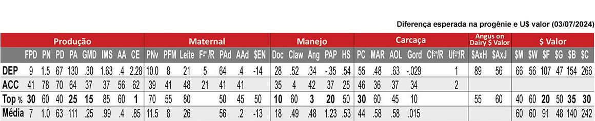 Avaliação ELEVATION