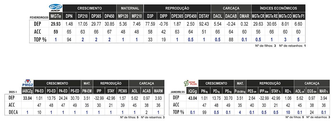 Avaliação HOUSTON FIV FVC