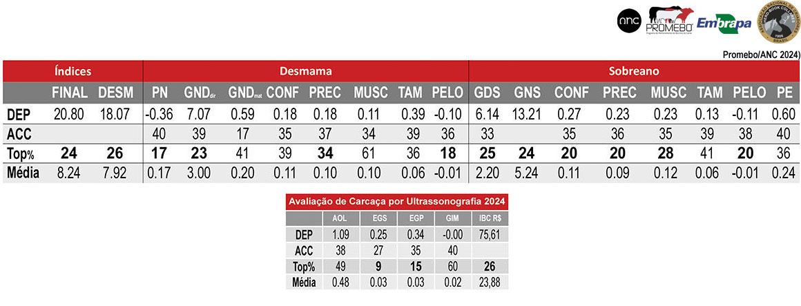 Avaliação LEGADO