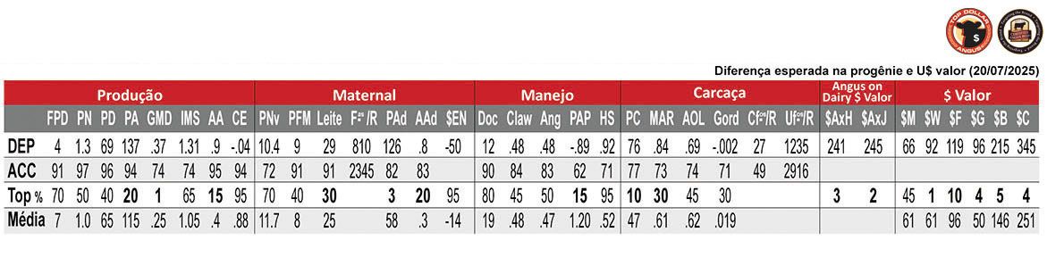 Avaliação ACCLAIM