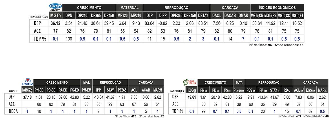 Avaliação ARMEIRO DA IPB
