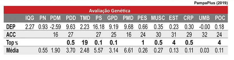 Avaliação UBER
