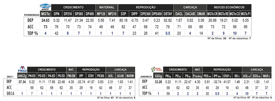 Avaliação AGRO FIV DE NAVIRAÍ