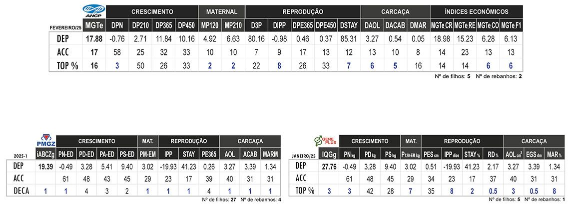 Avaliação APORÉ DA ELGE