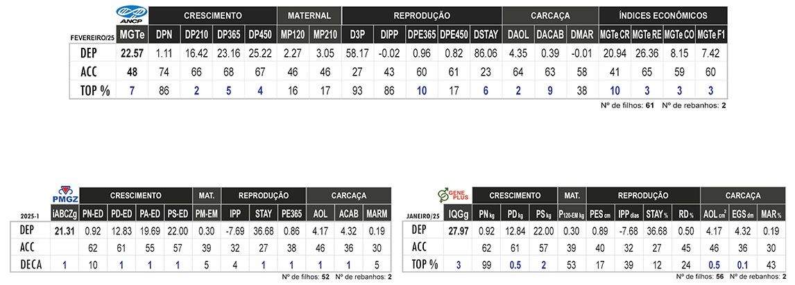 Avaliação GODZILLA DA HORA