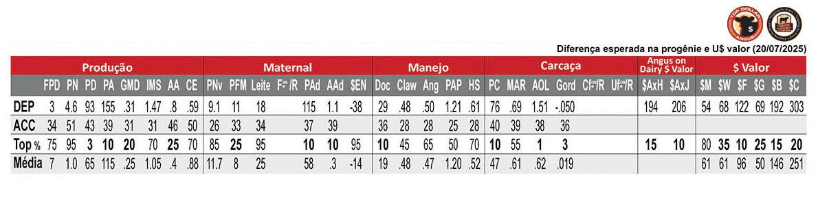 Avaliação GALLANT