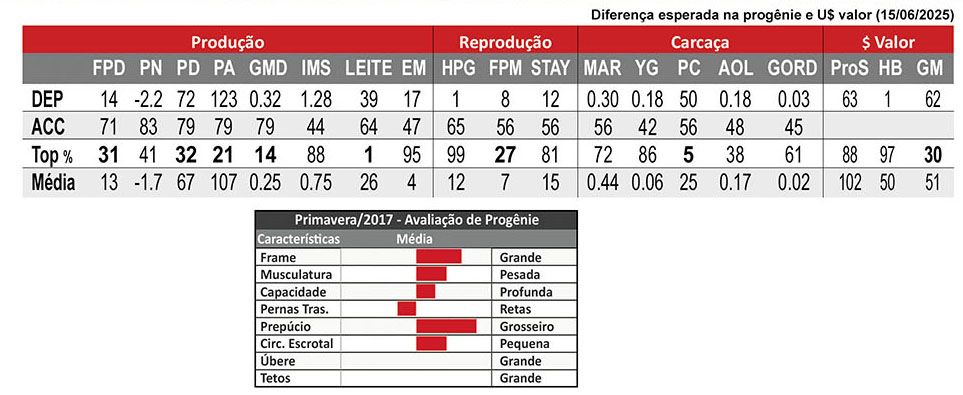 Avaliação STETSON