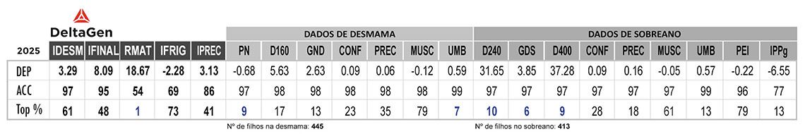 Avaliação MARANDU AJ