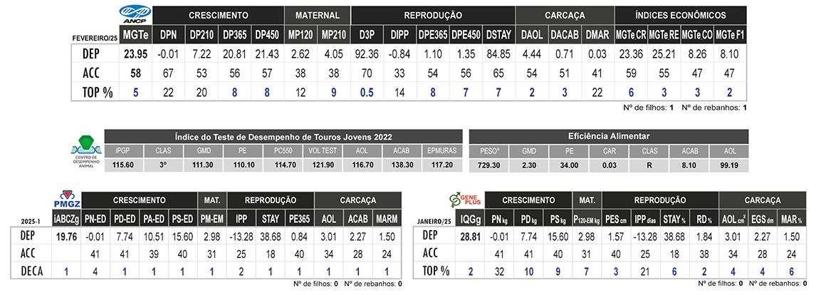 Avaliação GORDON DE CV
