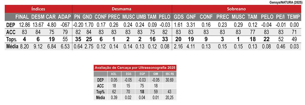 Avaliação JUSTICEIRO