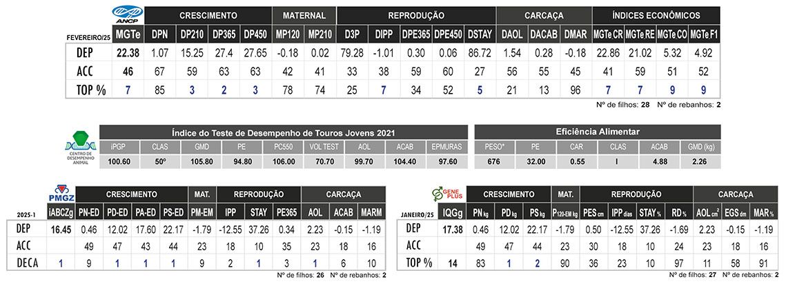 Avaliação ATAK JR TAR