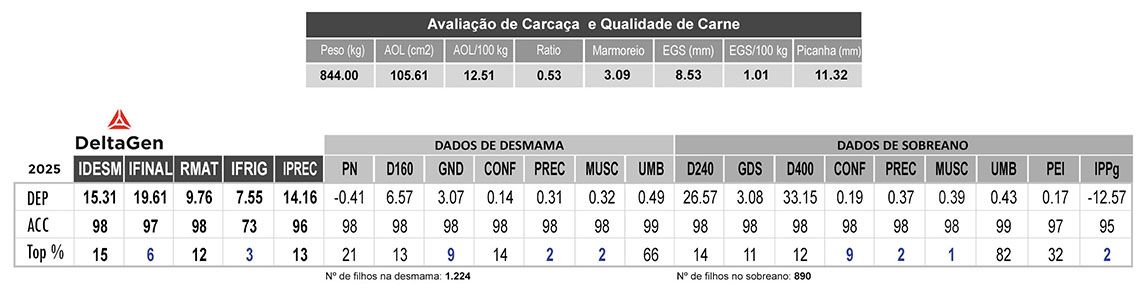 Avaliação DAISAN NIP