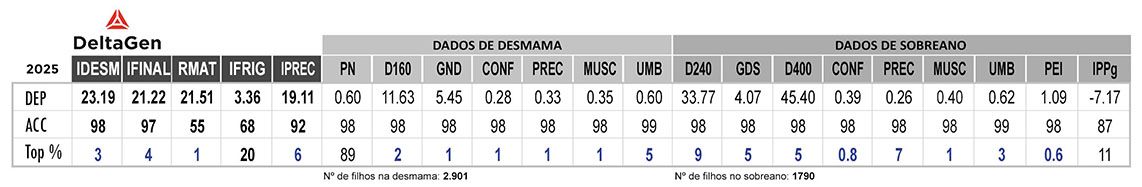 Avaliação JAPURÁ FST
