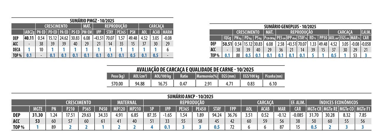 Avaliação 8076 DA IPB