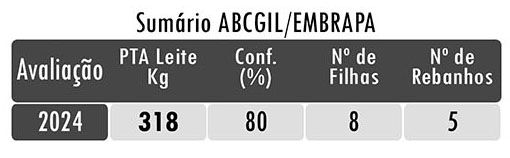 Avaliação FB LINGOTE