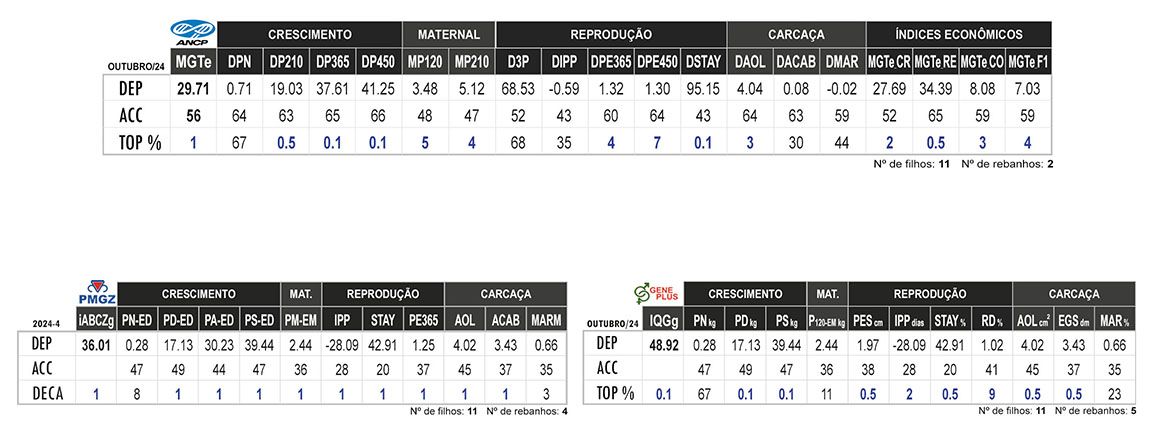 Avaliação MIL FIV FVC