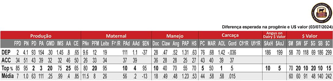 Avaliação GALLANT