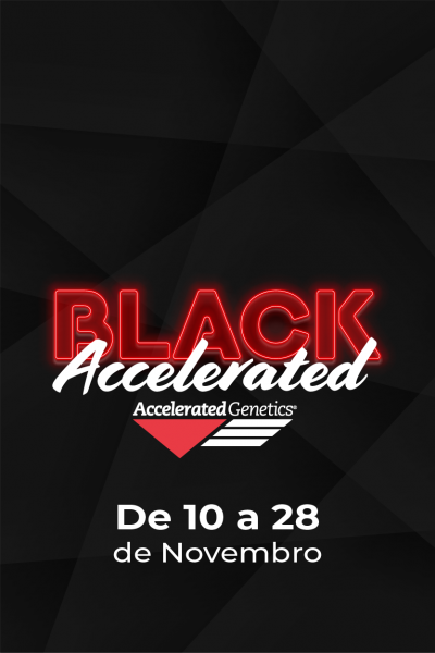 Black da accelerated