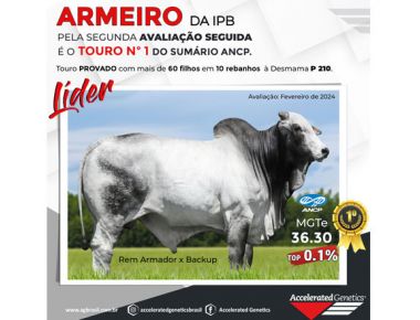 ARMEIRO DA IPB - Nº 1 SUMÁRIO ANCP