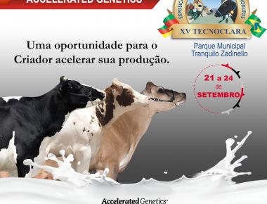 XV TECNOCLARA - de 21a 24 de Setembro