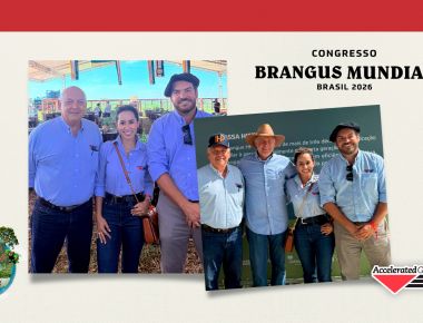  Gira durante o Mundial de Brangus na Brangus HP / Agrícola Anamelia