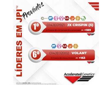 A LIDERANÇA NO JERSEY É AG