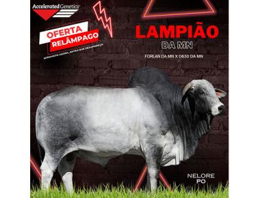 OFERTA RELÂMPAGO 20