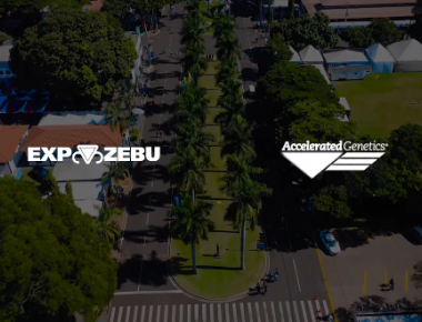 INSTITUCIONAL | EXPOZEBU 2026