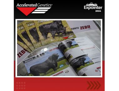 LANÇAMENTO - EXPOINTER 2024