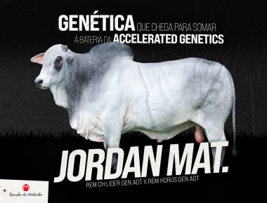 NOVA CONTRATAÇÃO | JORDAN MAT.