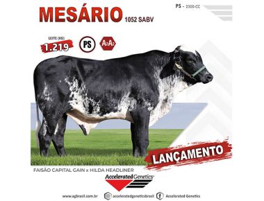 PS MESÁRIO - Lançamento Leite Tropical