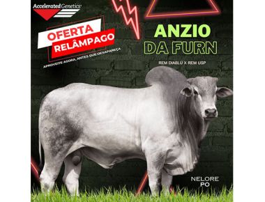 OFERTA RELÂMPAGO 23