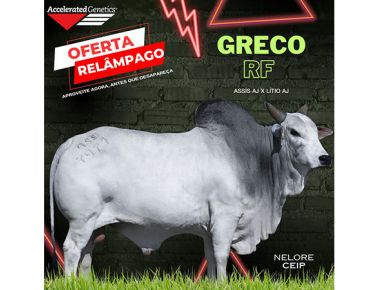 OFERTA RELÂMPAGO 26