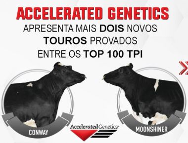CONWAY e MOONSHINER Touros Top 100 TPI