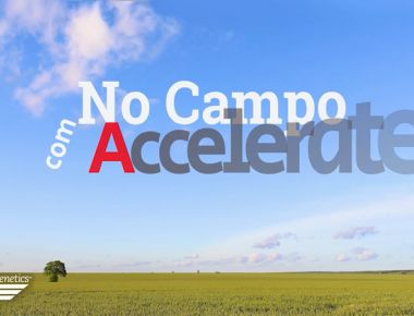 AG NO CAMPO - Serra Dourada-Arapoti-PR